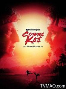 眼镜蛇 第二季,复仇之蛇再起风云